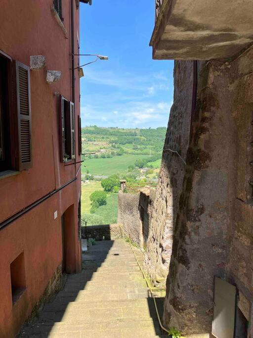 Appartamento Nel Borgo Orte Bagian luar foto